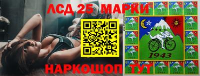 индика Будённовск