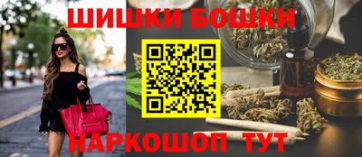 индика Будённовск