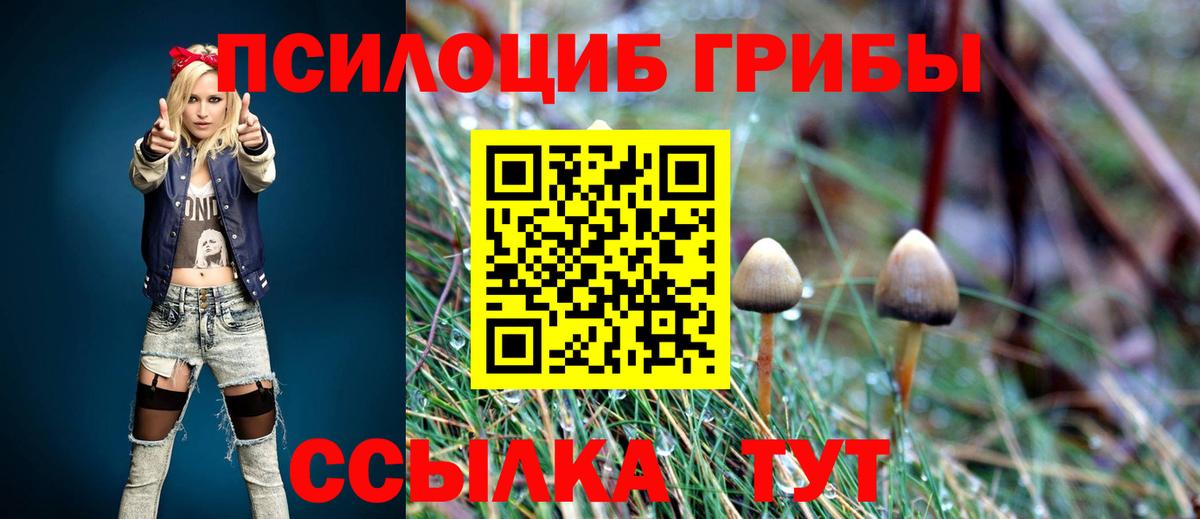 Псилоцибиновые грибы мухоморы Усть-Кут