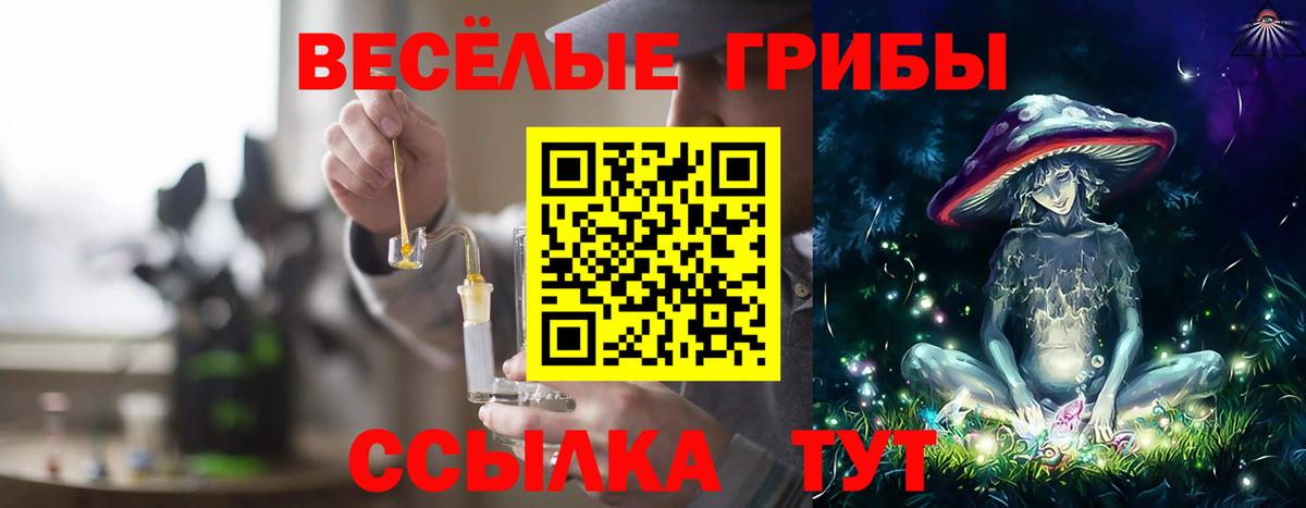 Усть-Кут  Галлюциногенные грибы Psilocybine cubensis  где продают   Вход с VPN 